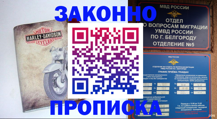 прописка для школы в Данкове